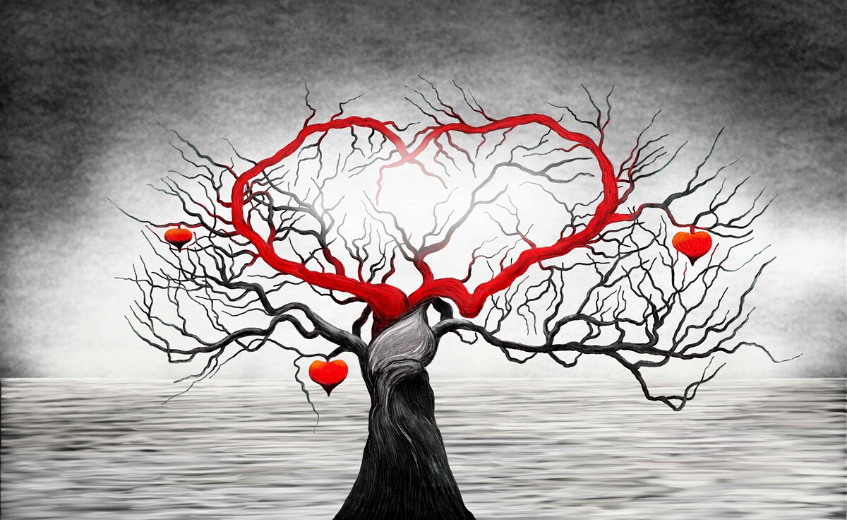 Fototapeta veľké červené srdce a eben