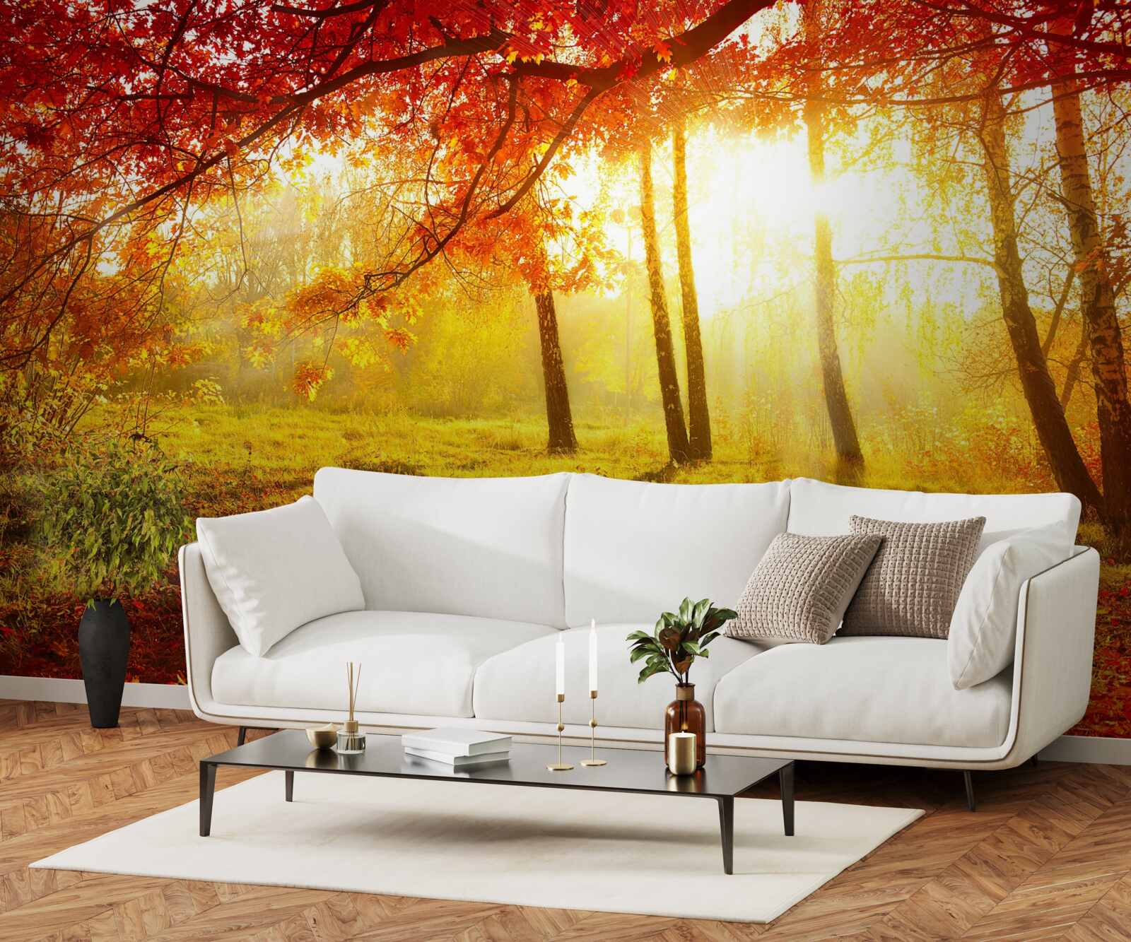 Fototapeta studené lúče slnka prerážajú jesennú hmlu