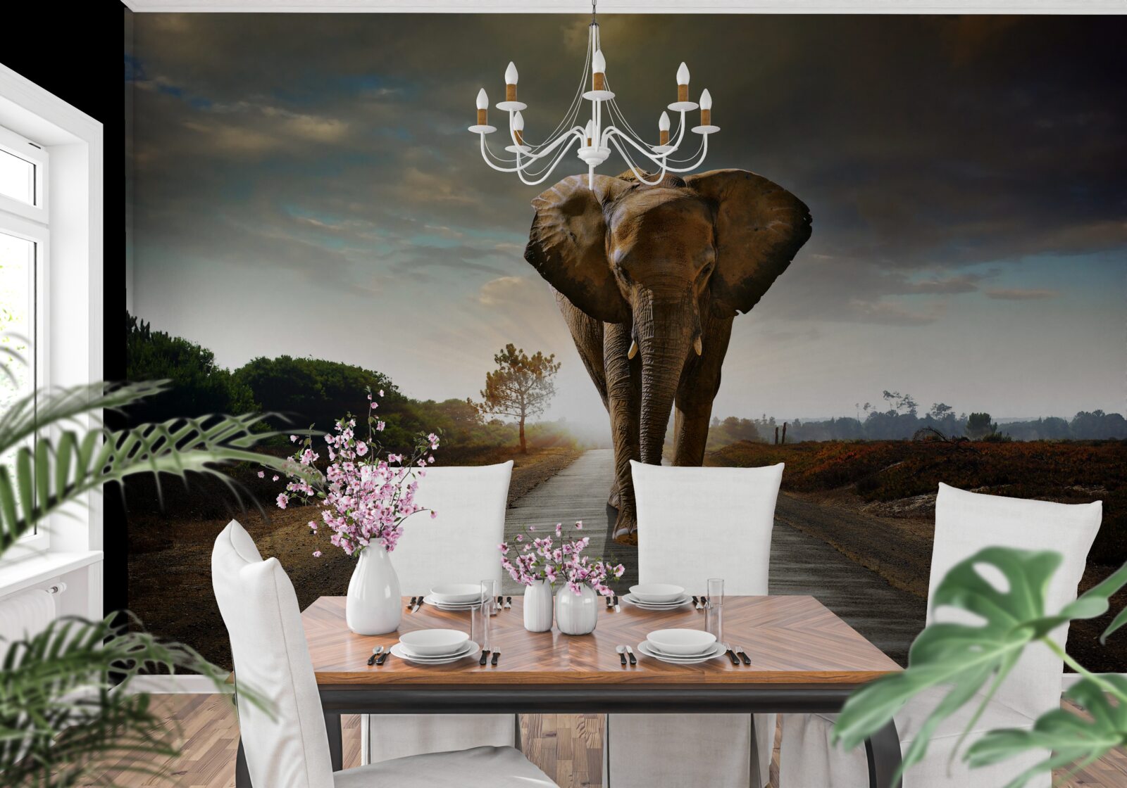 Fototapeta cesta slona pokračuje