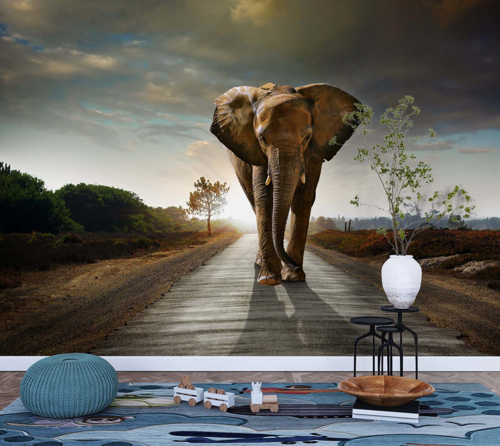 Fototapeta cesta slona pokračuje