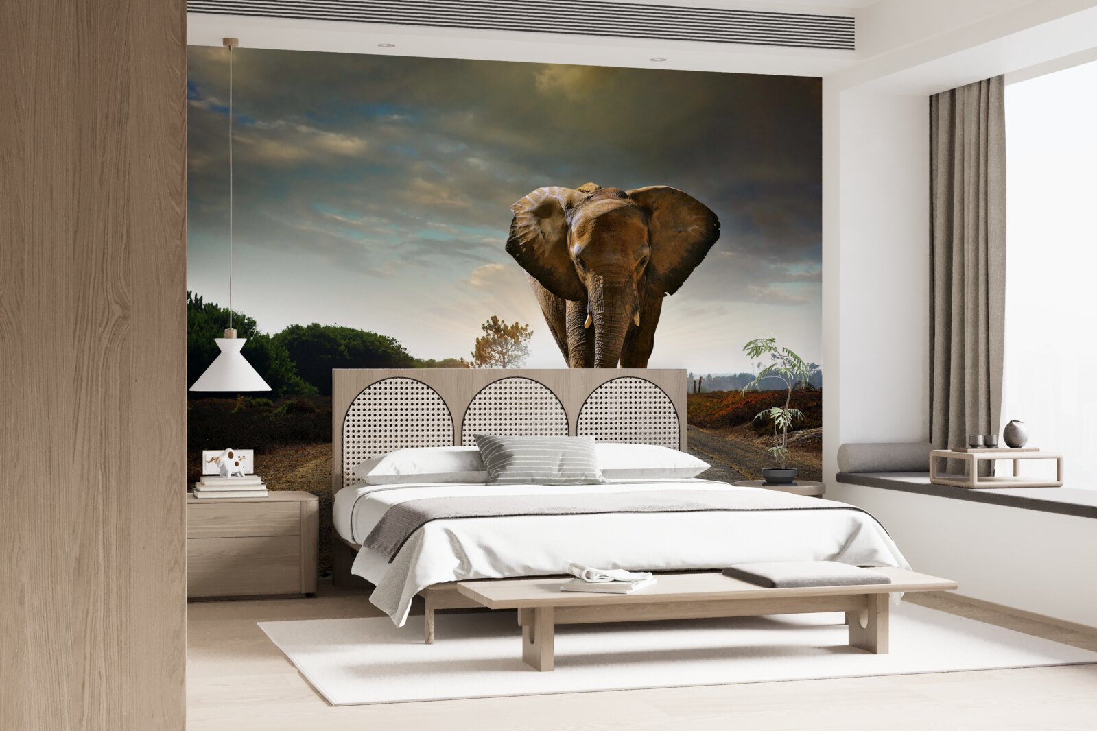 Fototapeta cesta slona pokračuje