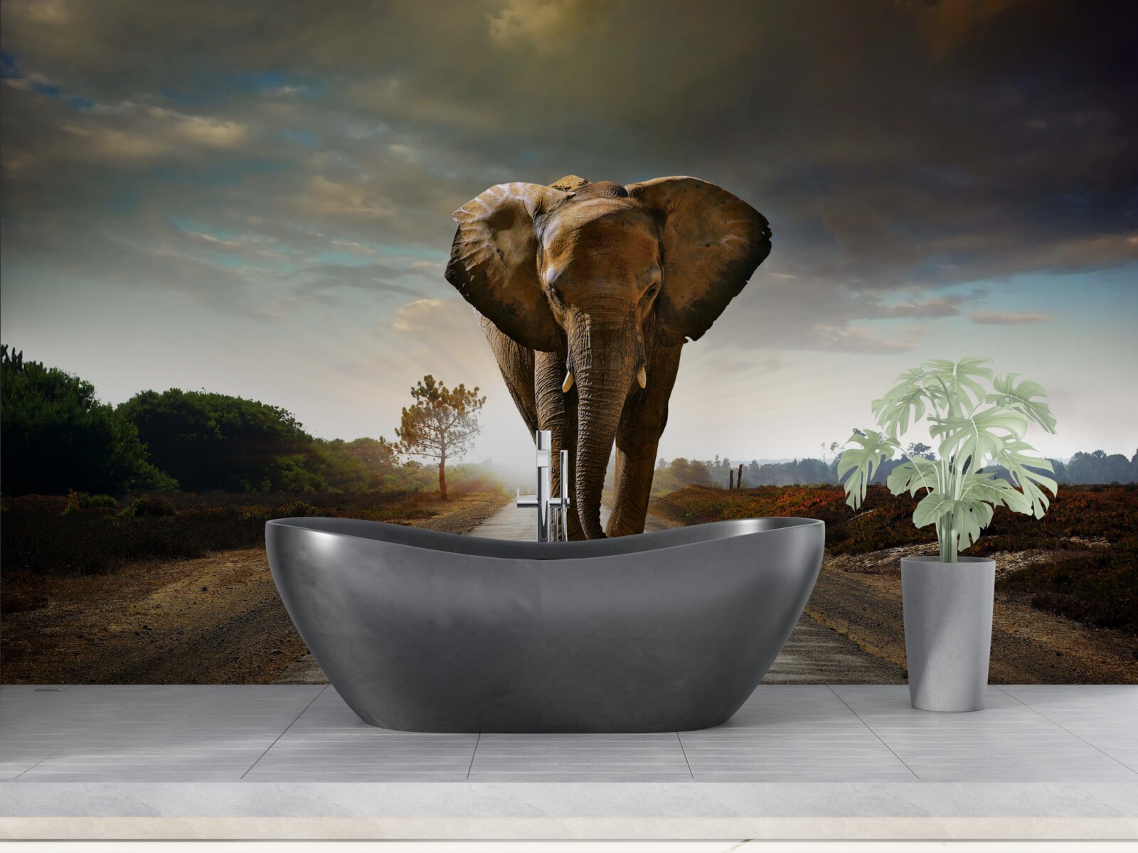 Fototapeta cesta slona pokračuje