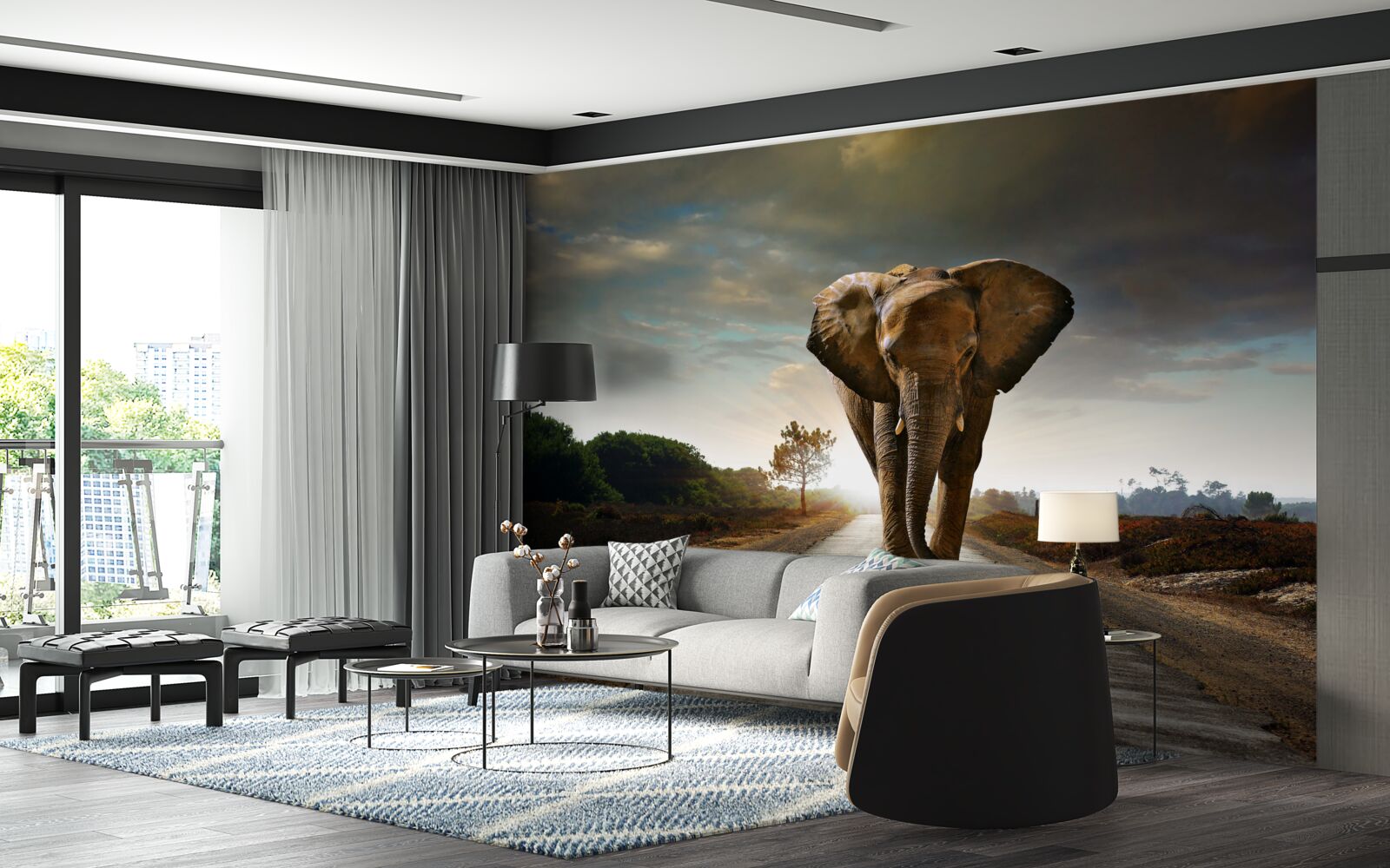 Fototapeta cesta slona pokračuje