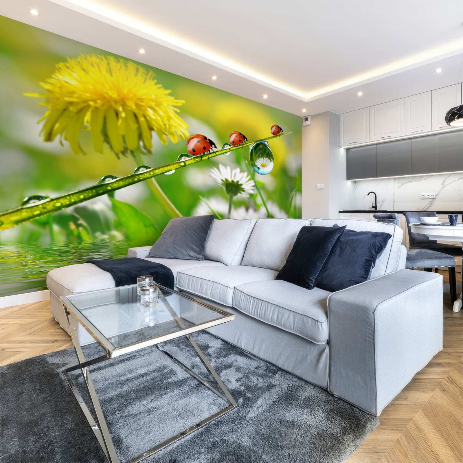 Photo wallpaper sedmokrásky