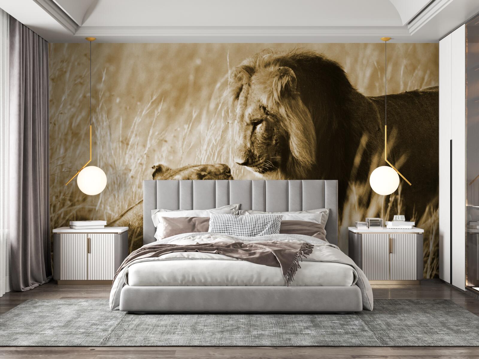 Fototapeta lev a levica sa poznajú