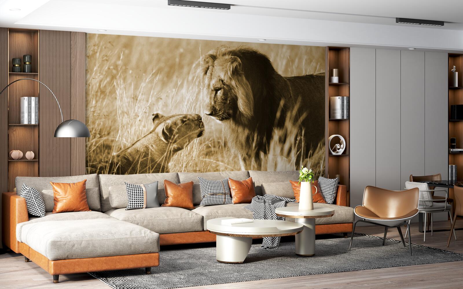 Fototapeta lev a levica sa poznajú