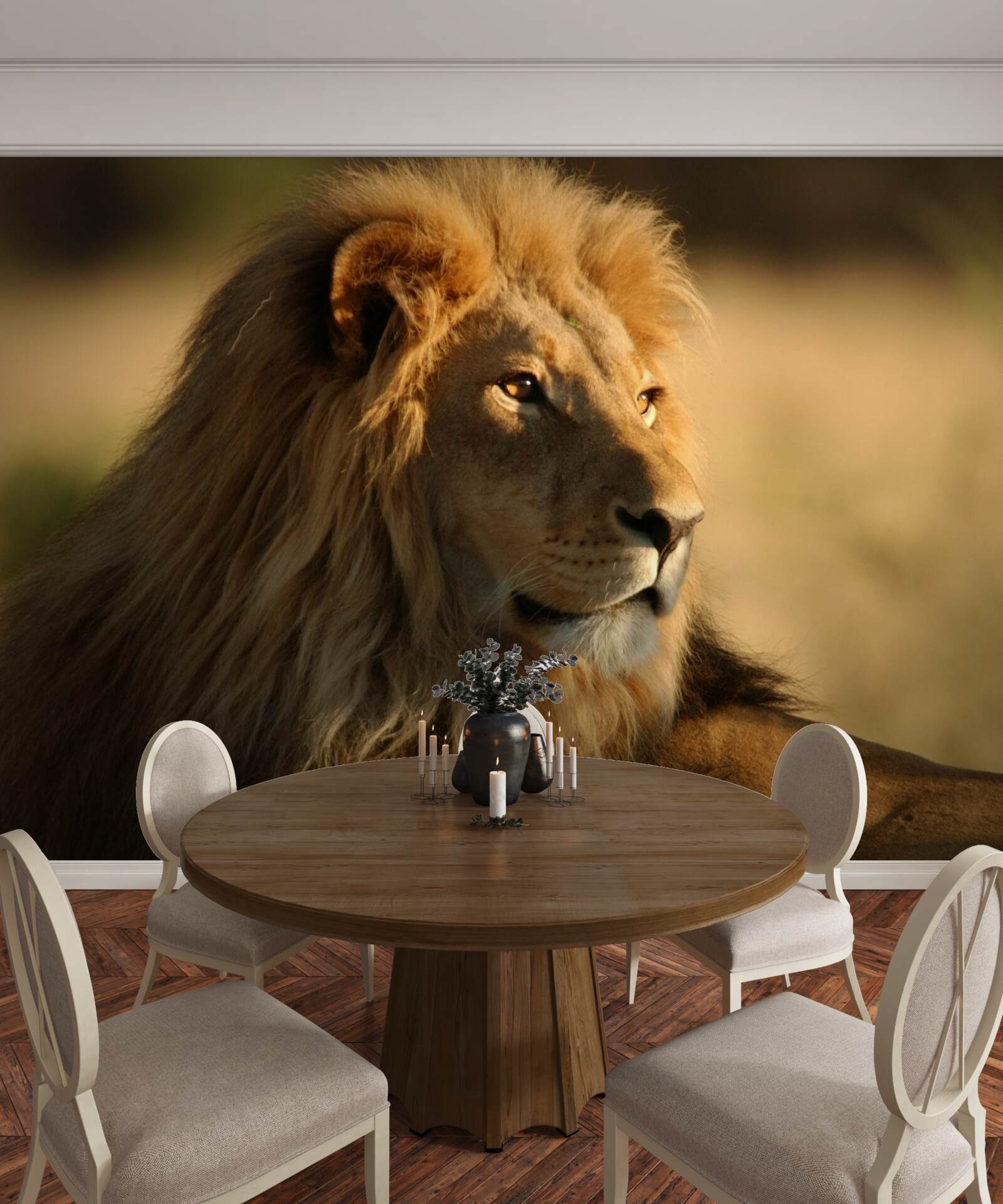 Fototapeta monarcha savany na dovolenke