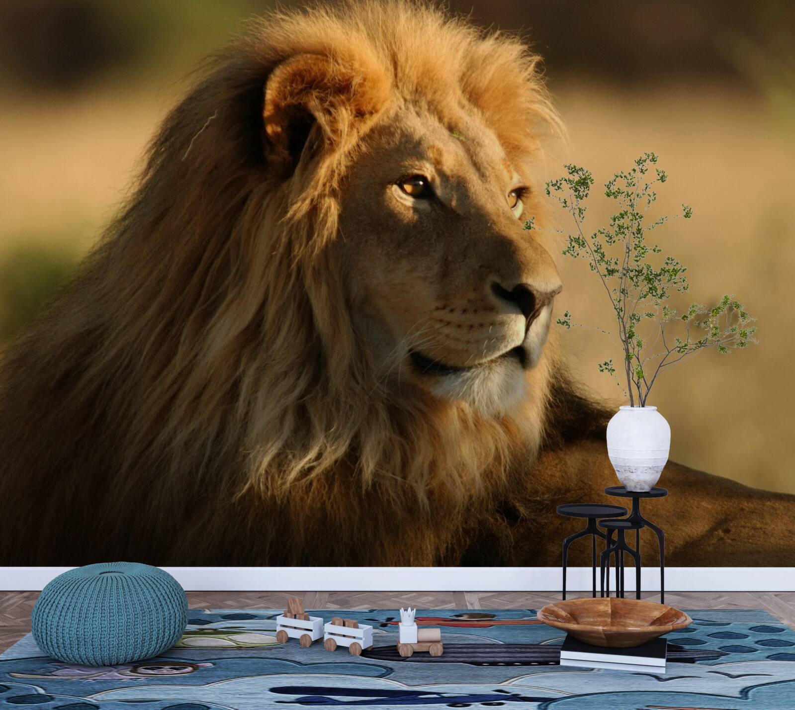 Fototapeta monarcha savany na dovolenke