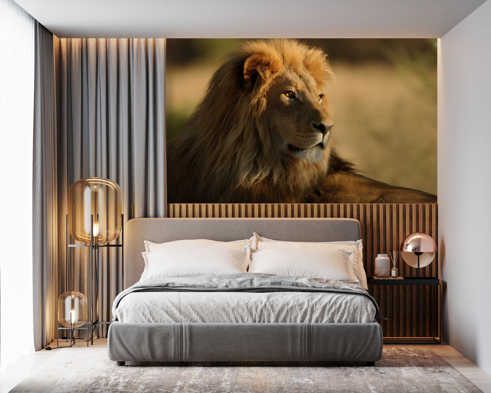 Fototapeta monarcha savany na dovolenke