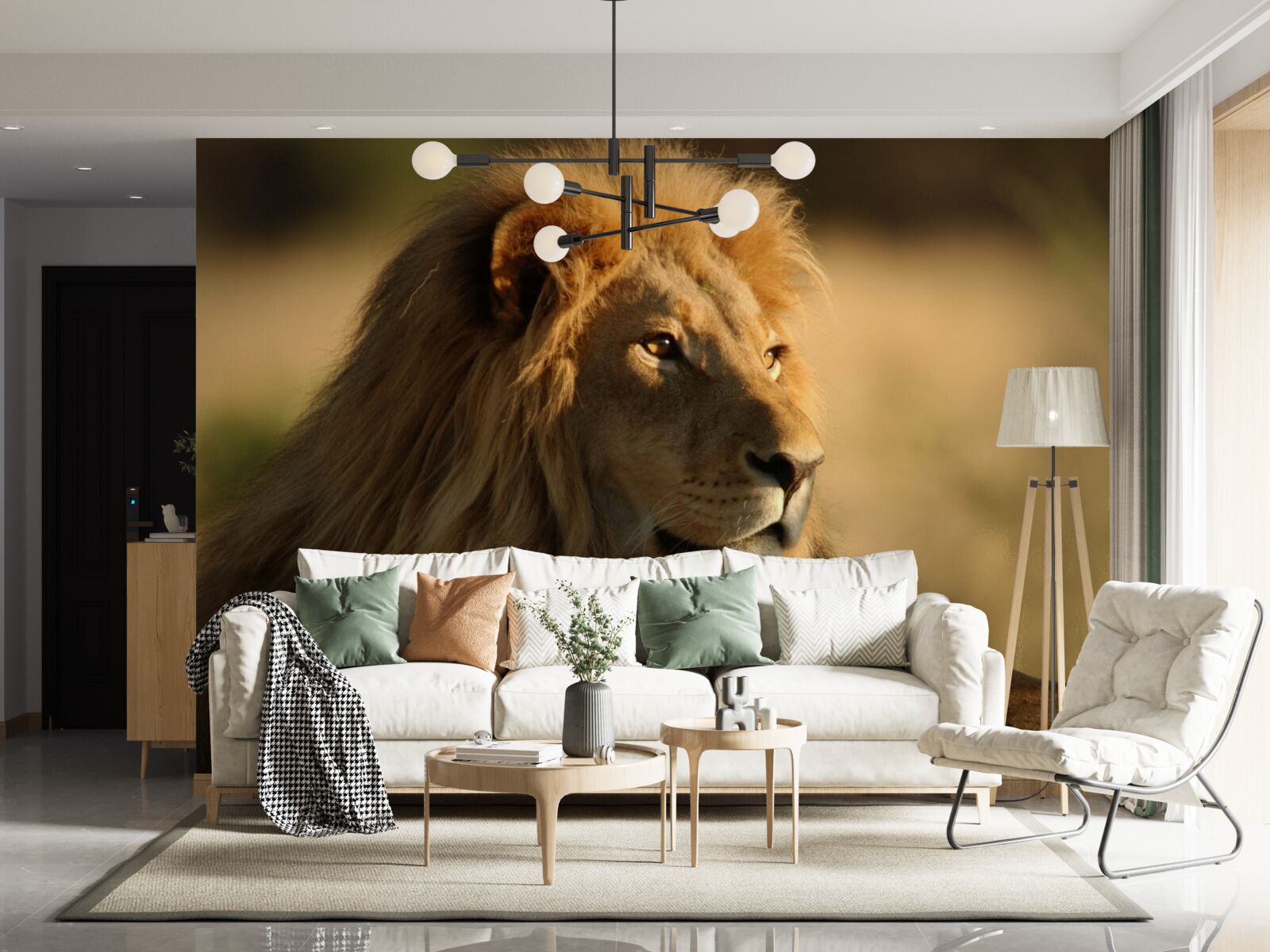 Fototapeta monarcha savany na dovolenke