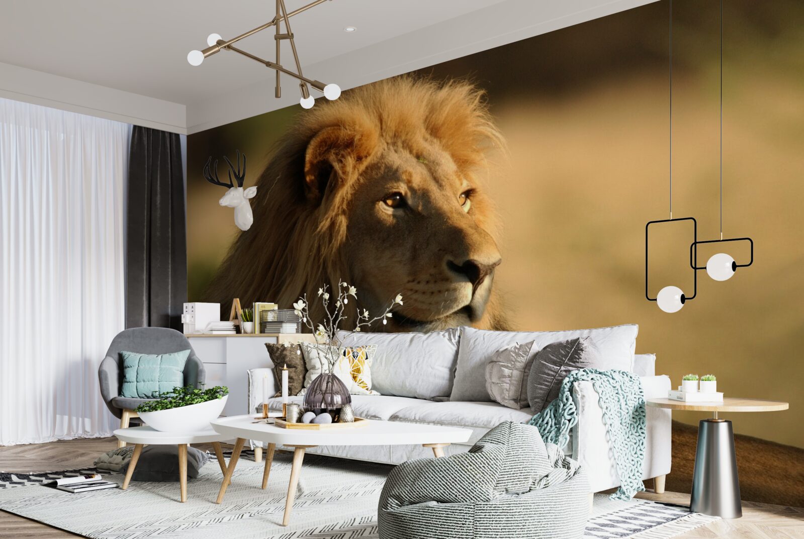 Fototapeta monarcha savany na dovolenke