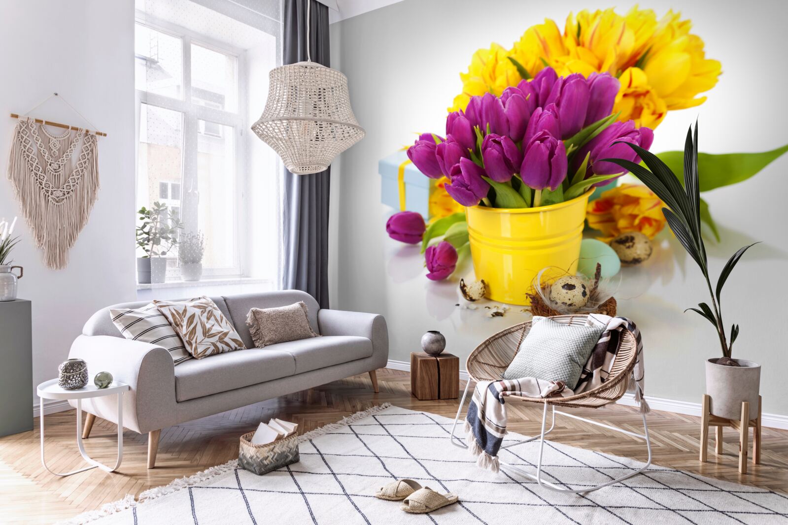 Fototapeta sada fialových tulipánov