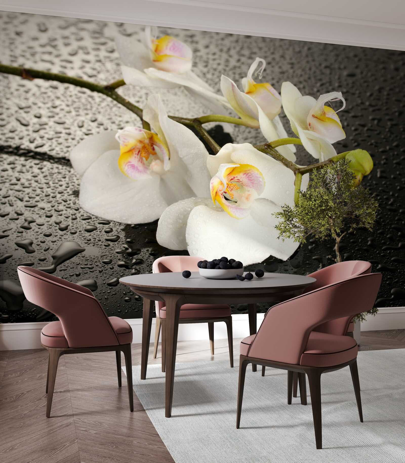 Fototapeta Snehobiela orchidea po silnom daždi