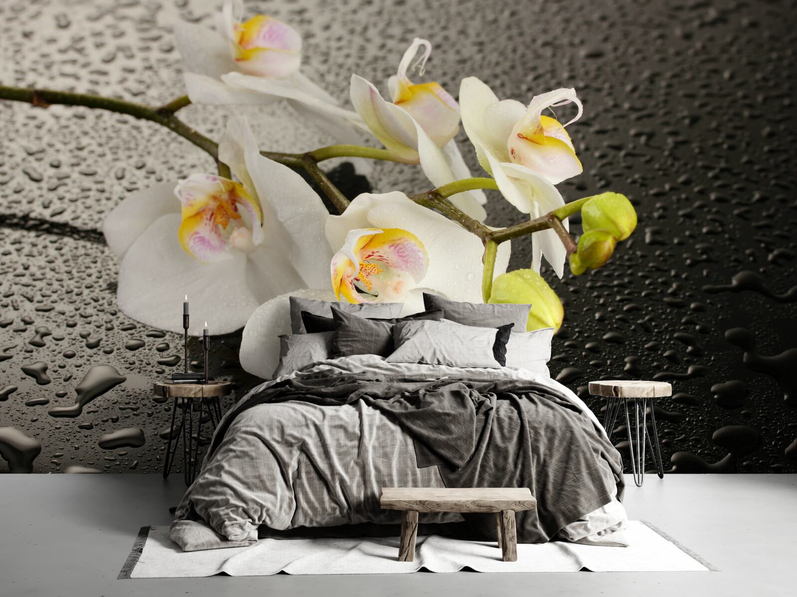 Fototapeta Snehobiela orchidea po silnom daždi