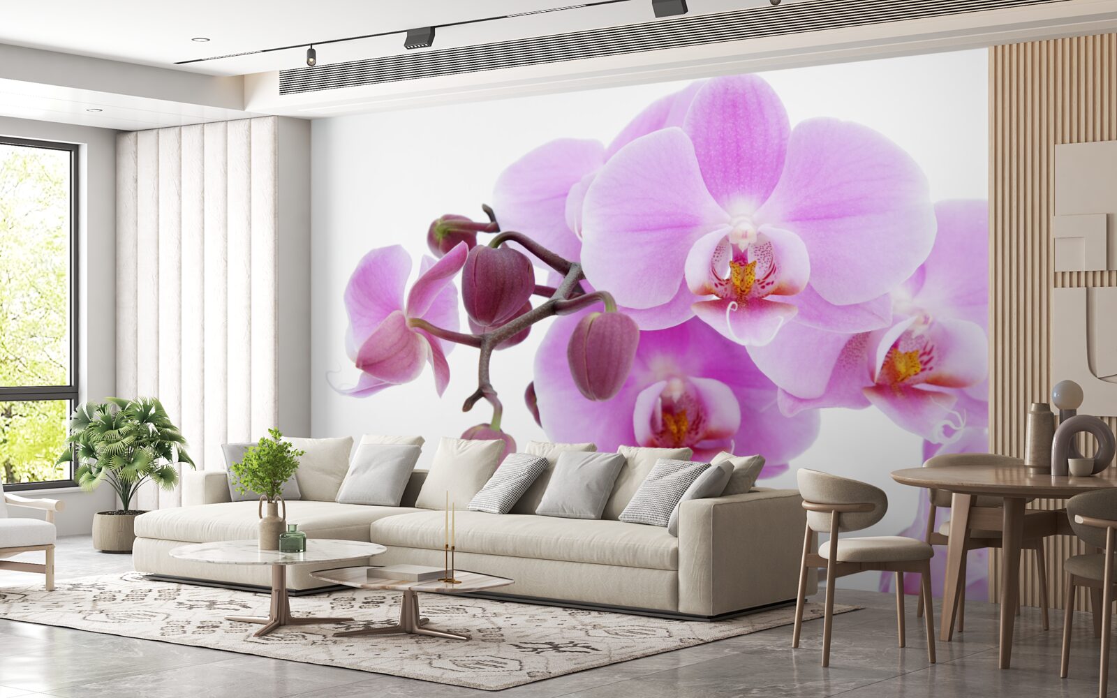 Fototapeta orchidea v odtieňoch fialovej s kvetnými pukmi