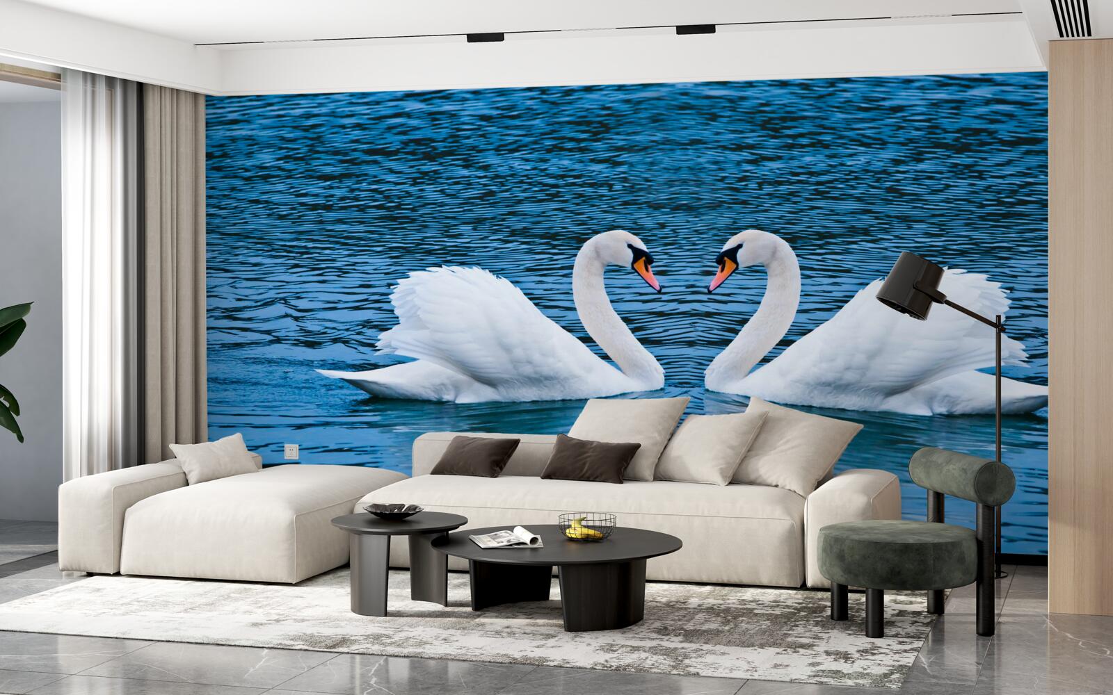 Fototapeta pár labutí na vodnej hladine vytvára idylický rodinný obraz