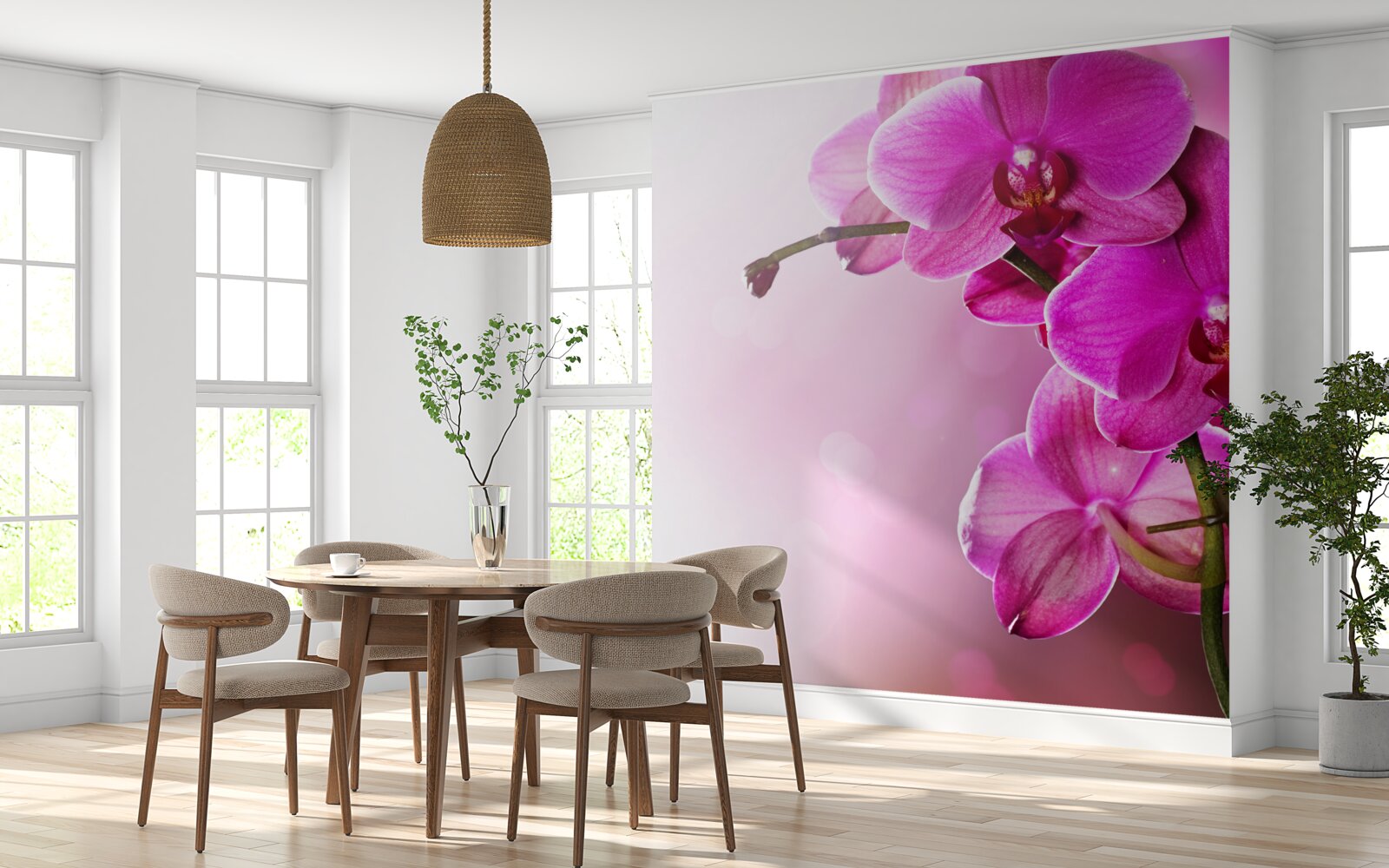 Fototapeta orchidey a púčik orgovánu