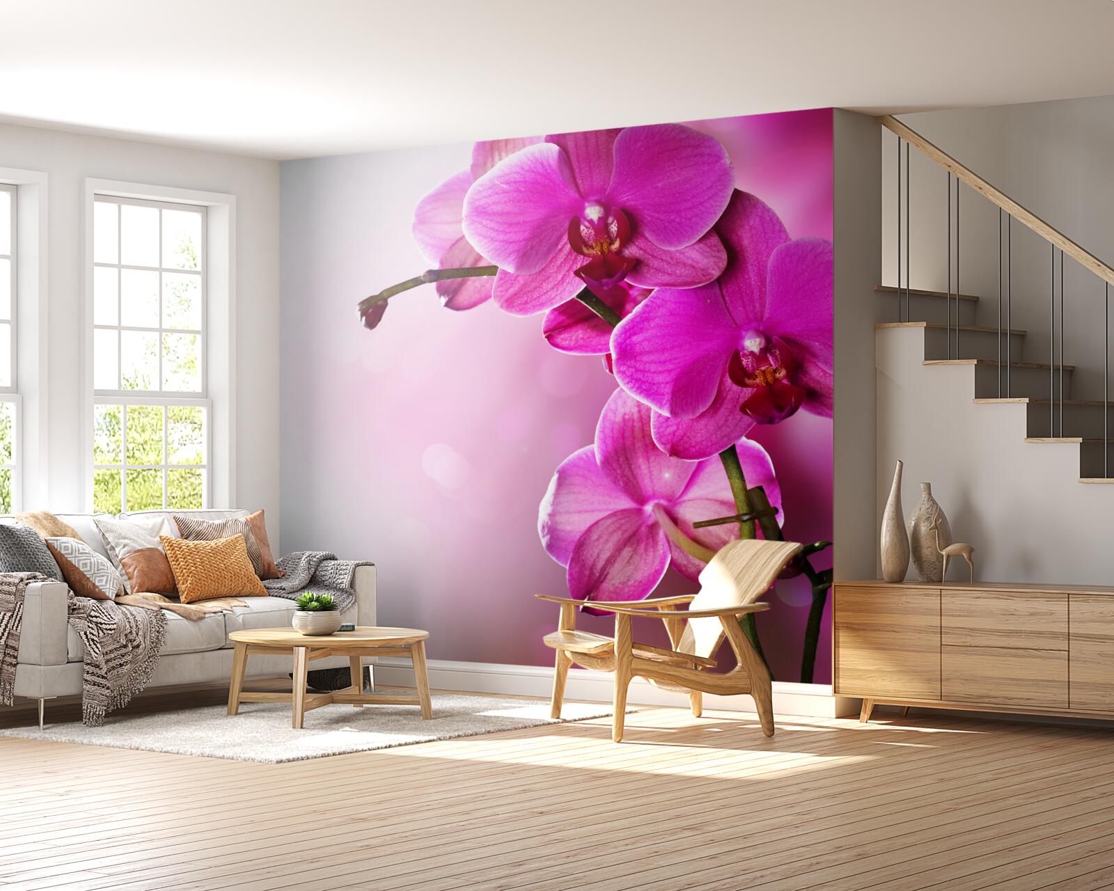 Fototapeta orchidey a púčik orgovánu