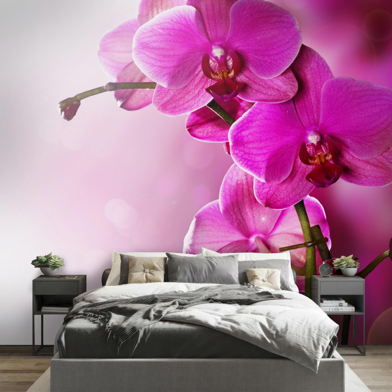 Fototapeta orchidey a púčik orgovánu