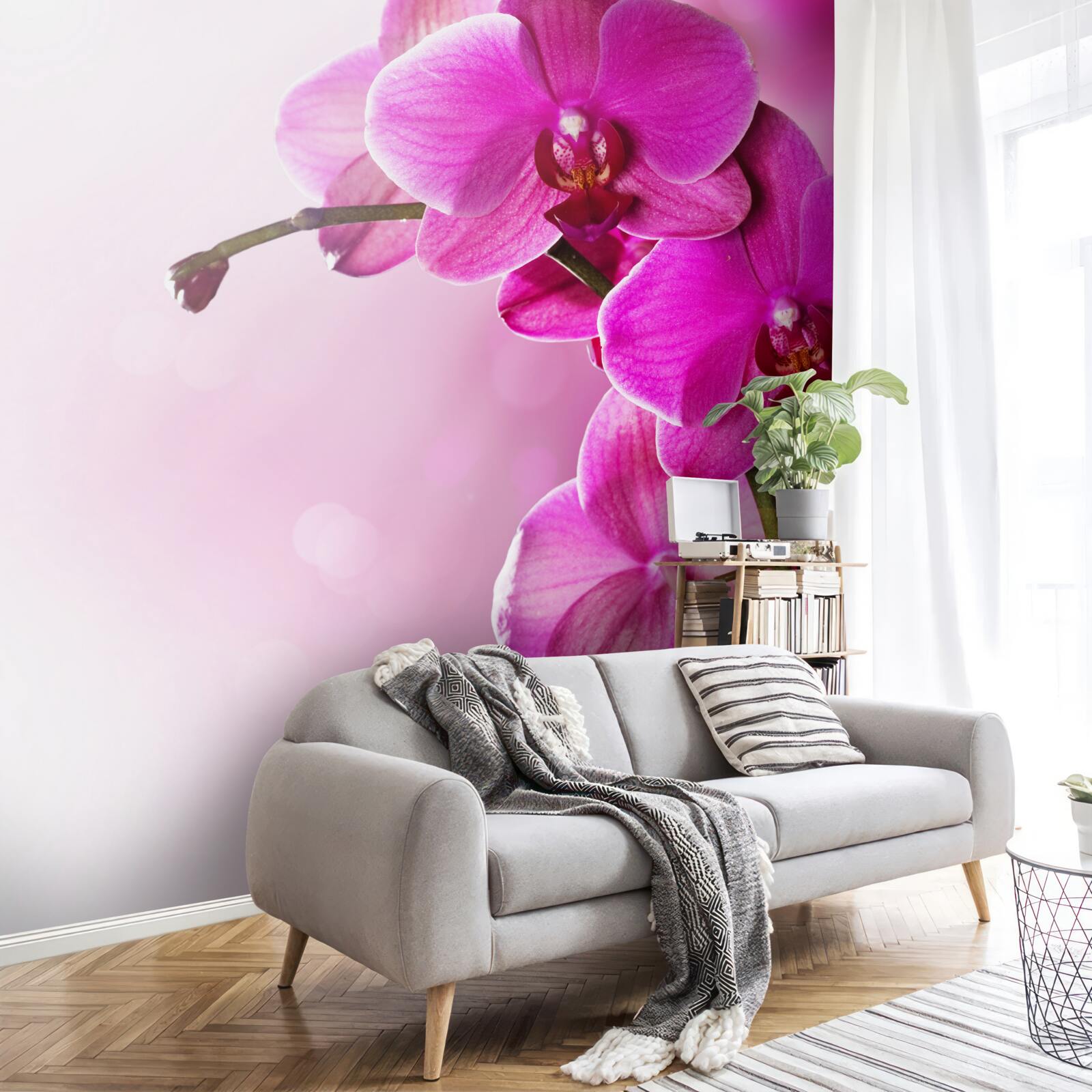 Fototapeta orchidey a púčik orgovánu