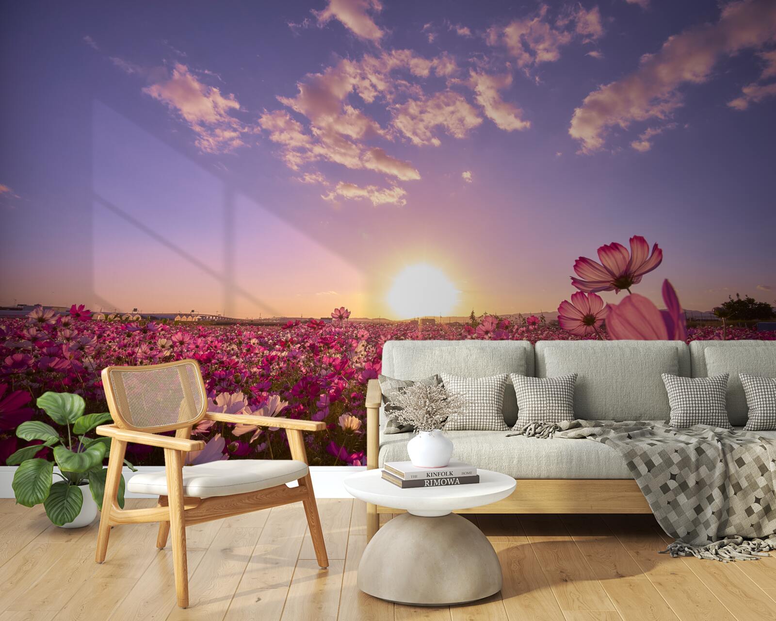 Fototapeta Svitanie nad poľom kvetov