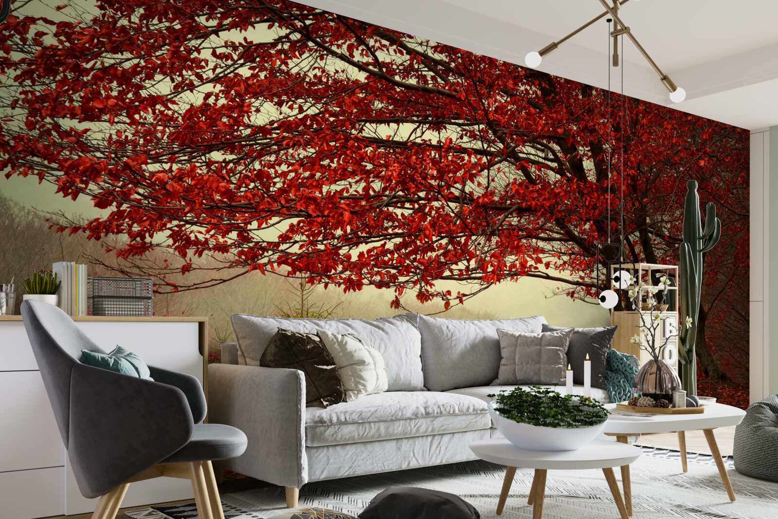 Fototapeta hmlisté ráno jesenného lesa s bordovými odtieňmi