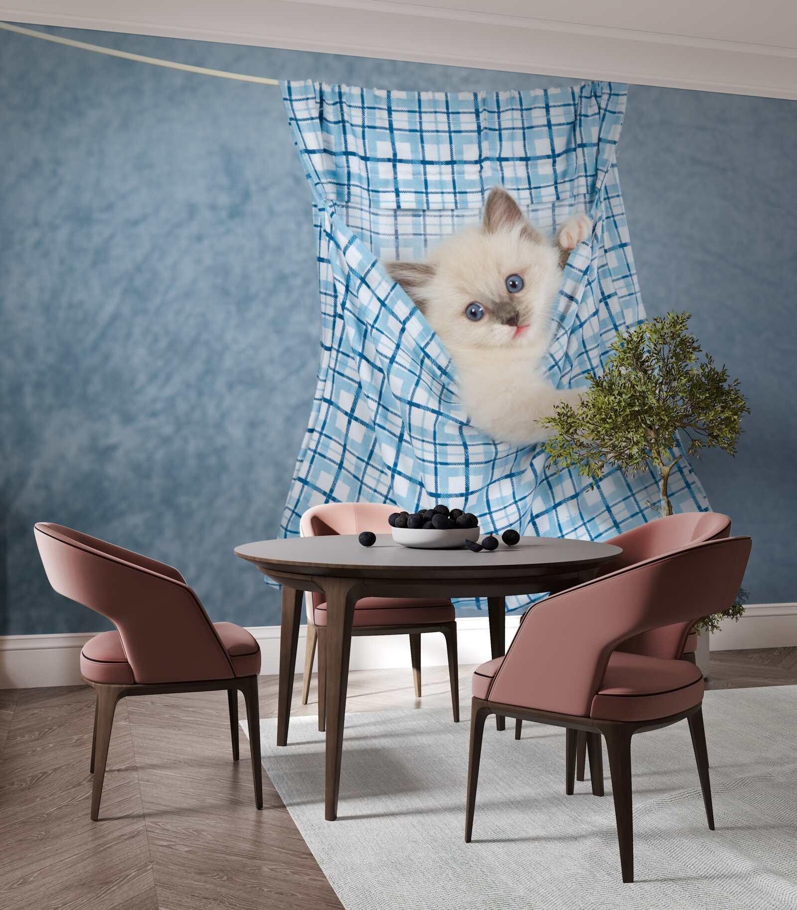 Fototapeta taška sa ukázala ako pasca na siamské mačiatko