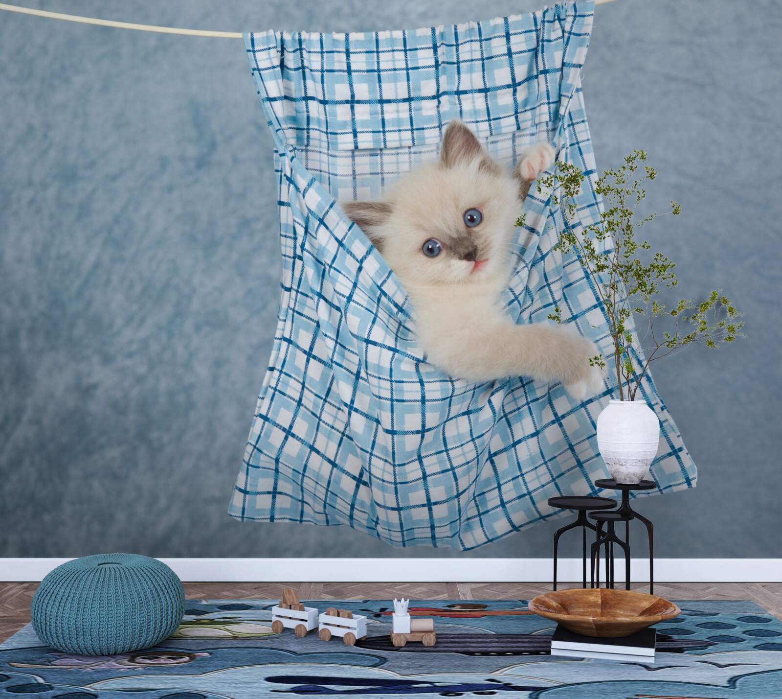 Fototapeta taška sa ukázala ako pasca na siamské mačiatko