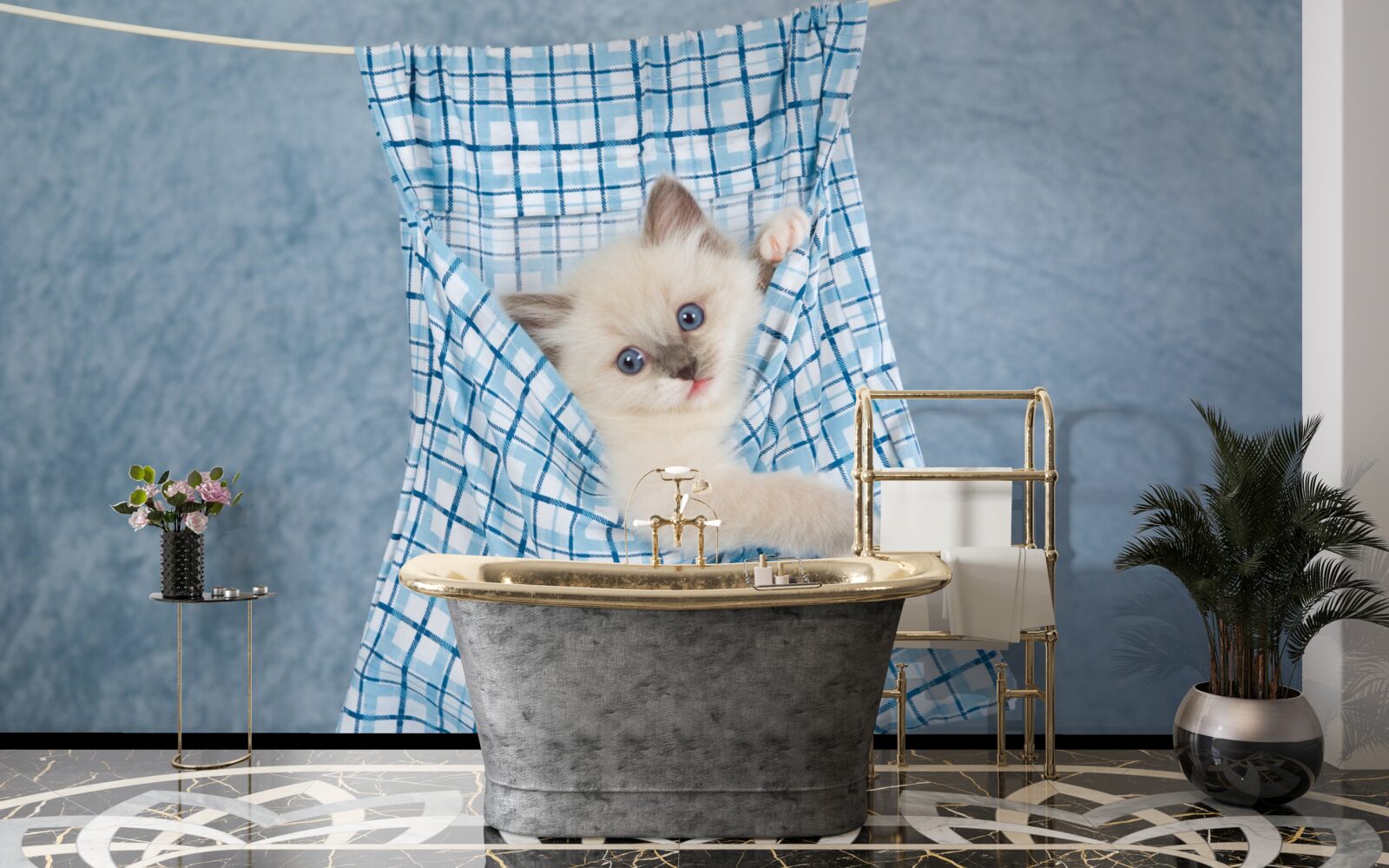 Fototapeta taška sa ukázala ako pasca na siamské mačiatko