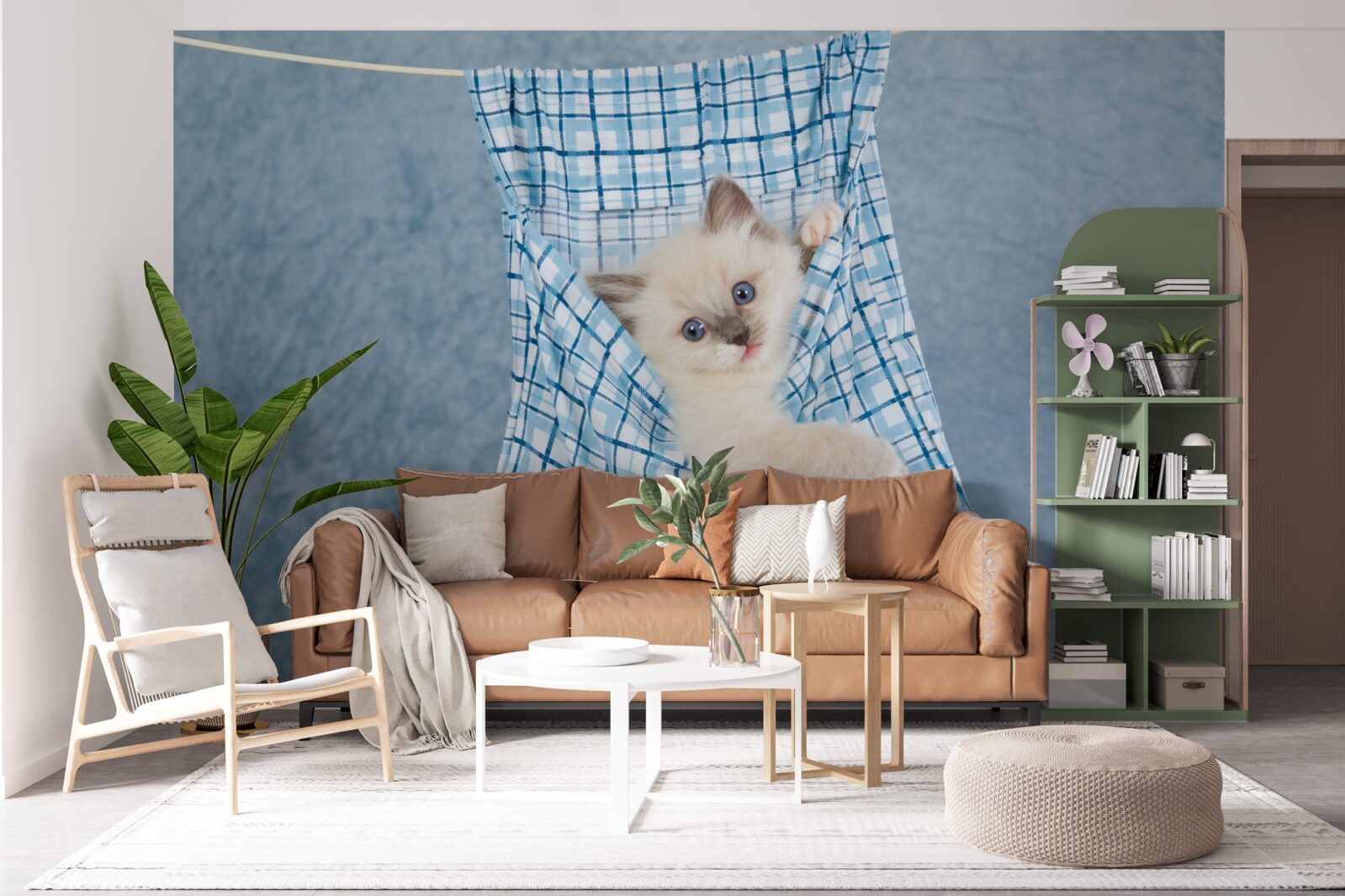 Fototapeta taška sa ukázala ako pasca na siamské mačiatko