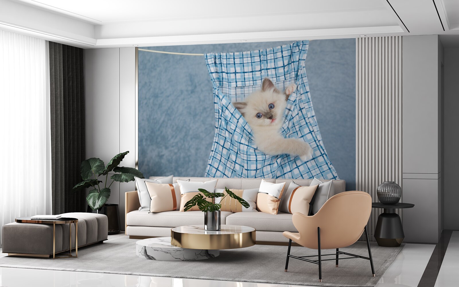 Fototapeta taška sa ukázala ako pasca na siamské mačiatko