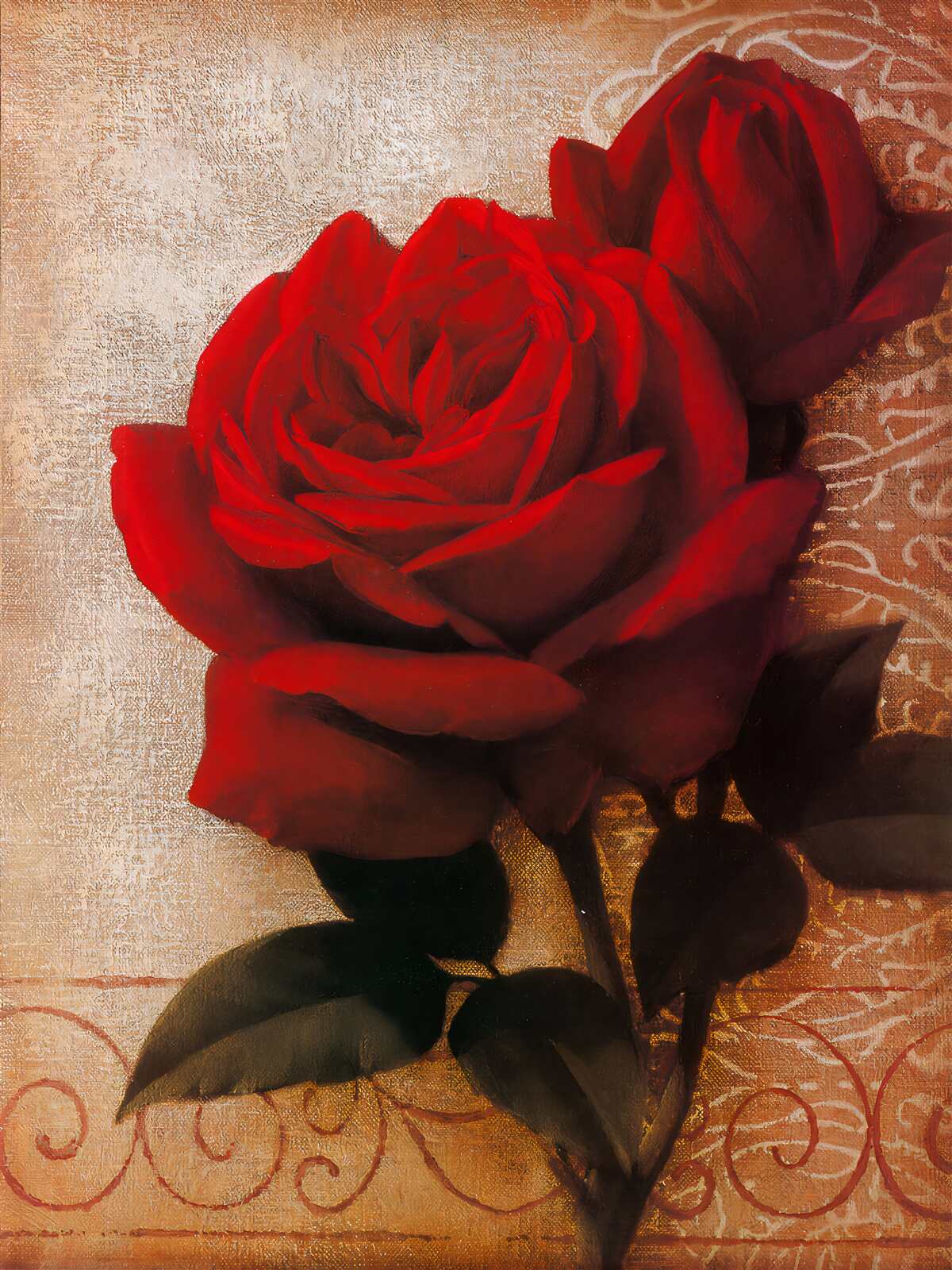 Fototapeta kráľovná ruží v červenej farbe