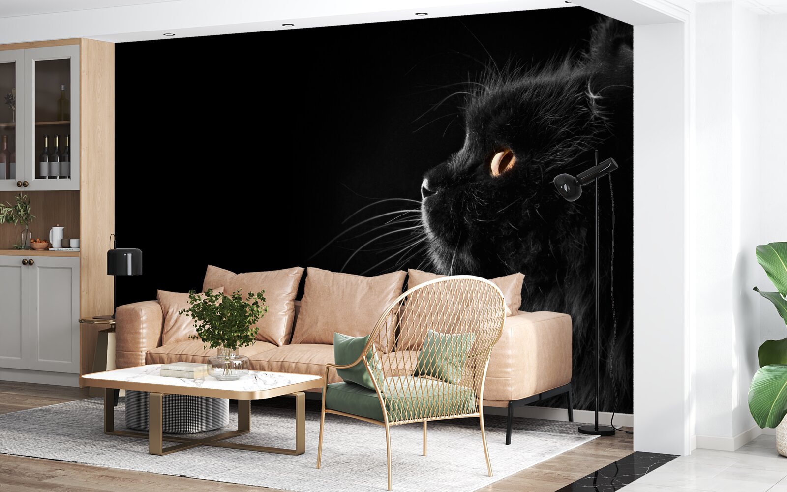 Fototapeta zlatooká čierna mačka