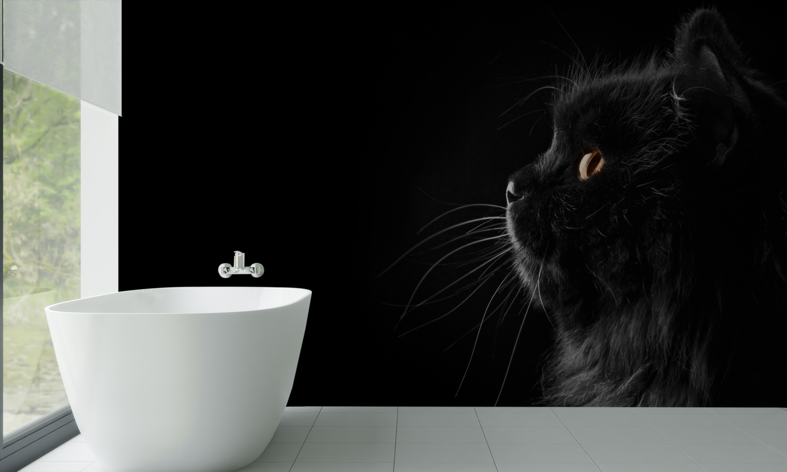 Fototapeta zlatooká čierna mačka