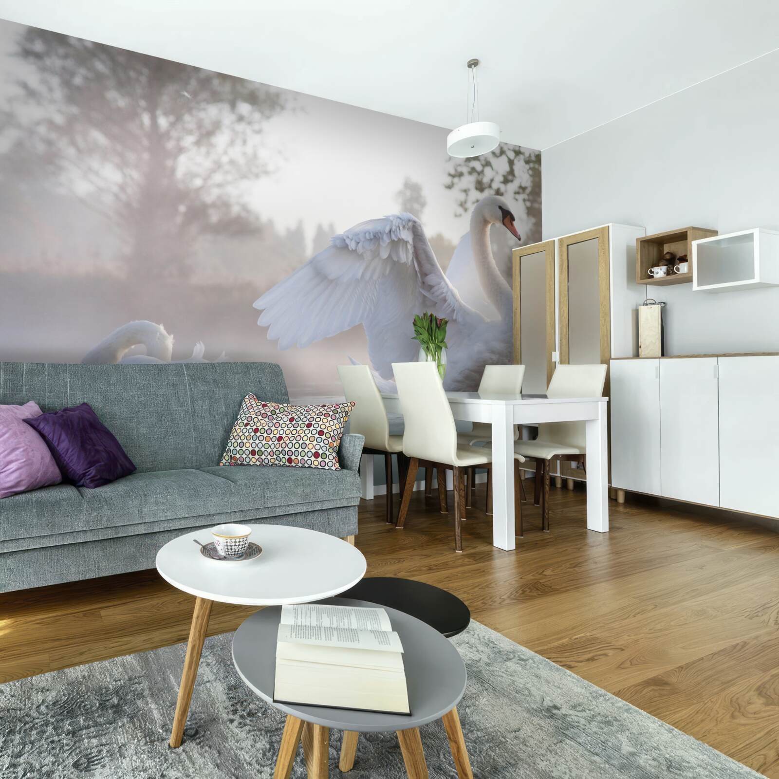 Fototapeta majestátna snehovo biela labuť plávajúca na vode