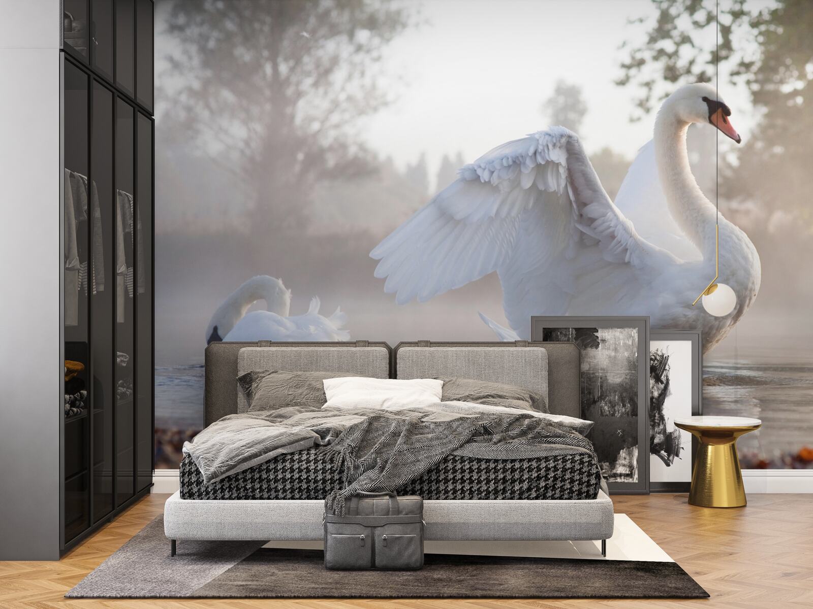 Fototapeta majestátna snehovo biela labuť plávajúca na vode