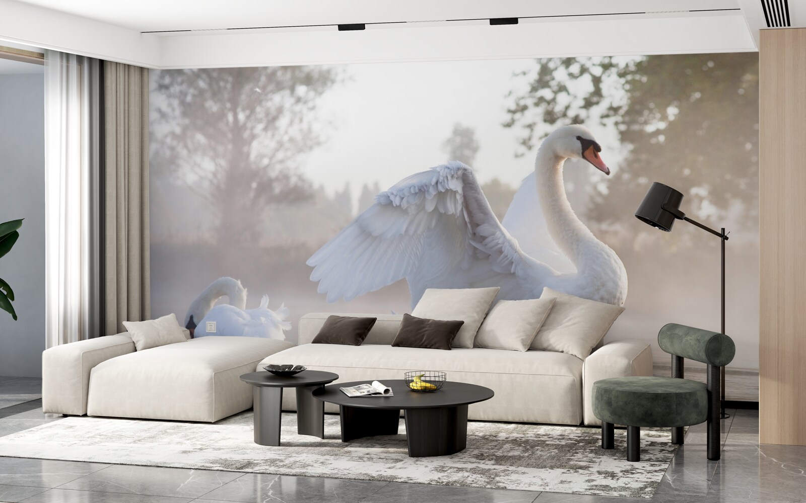 Fototapeta majestátna snehovo biela labuť plávajúca na vode