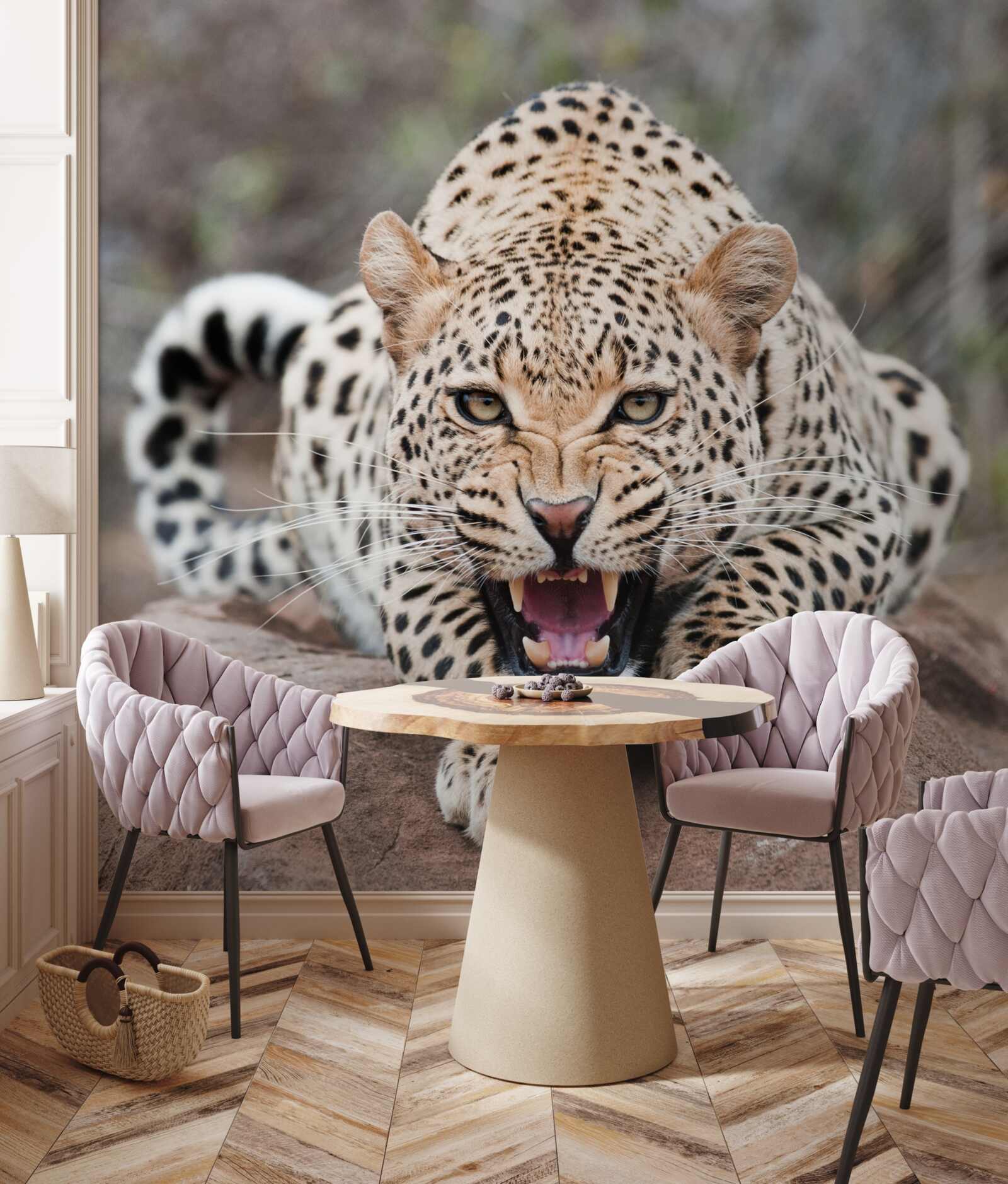 Fototapeta vzrušený leopard sa pripravuje na skok