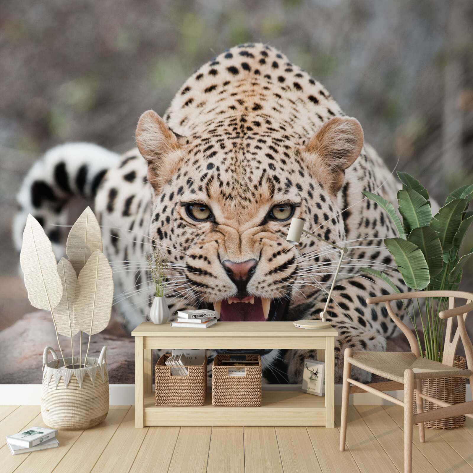 Fototapeta vzrušený leopard sa pripravuje na skok