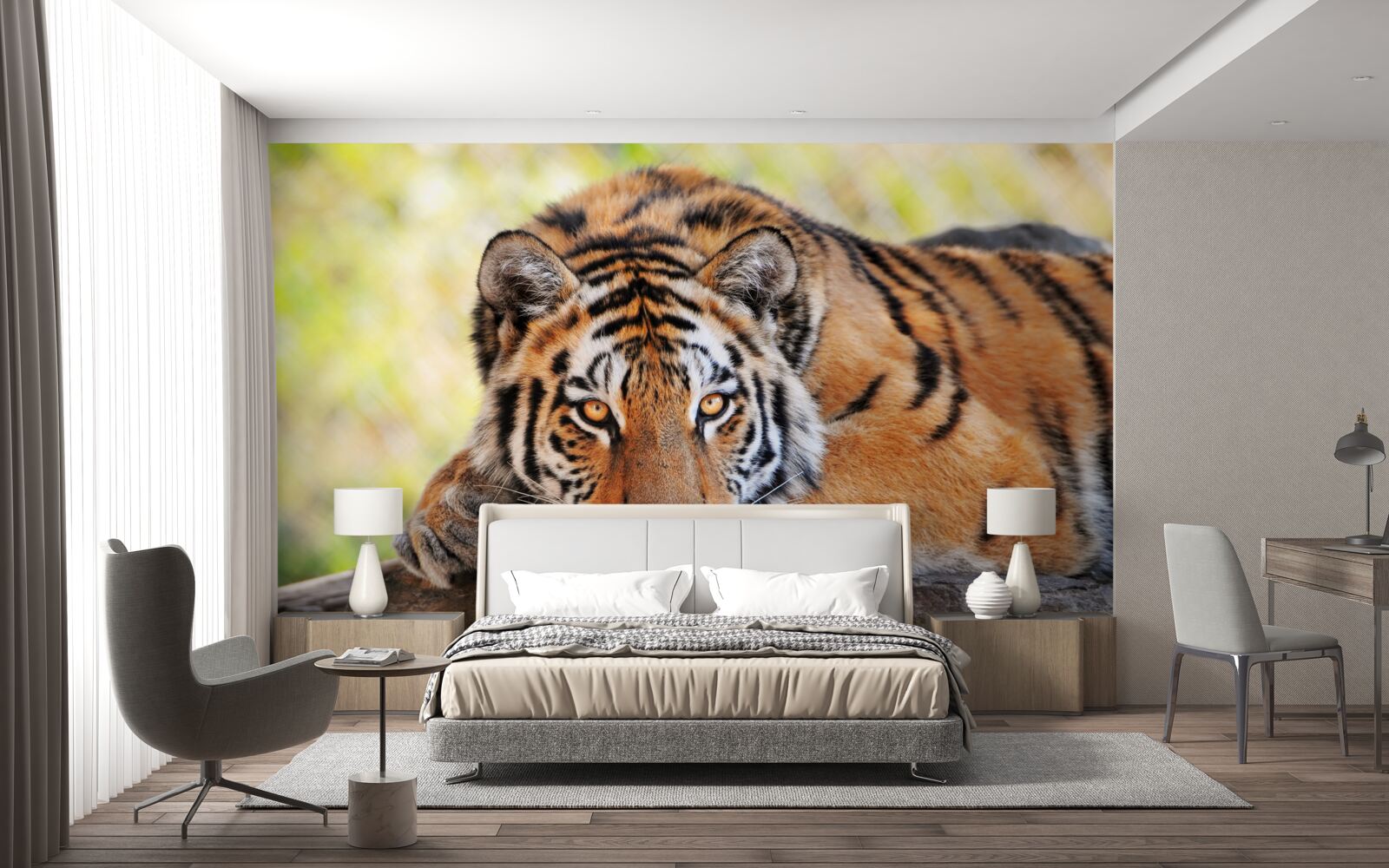 Fototapeta dravý tiger bol prepadnutý