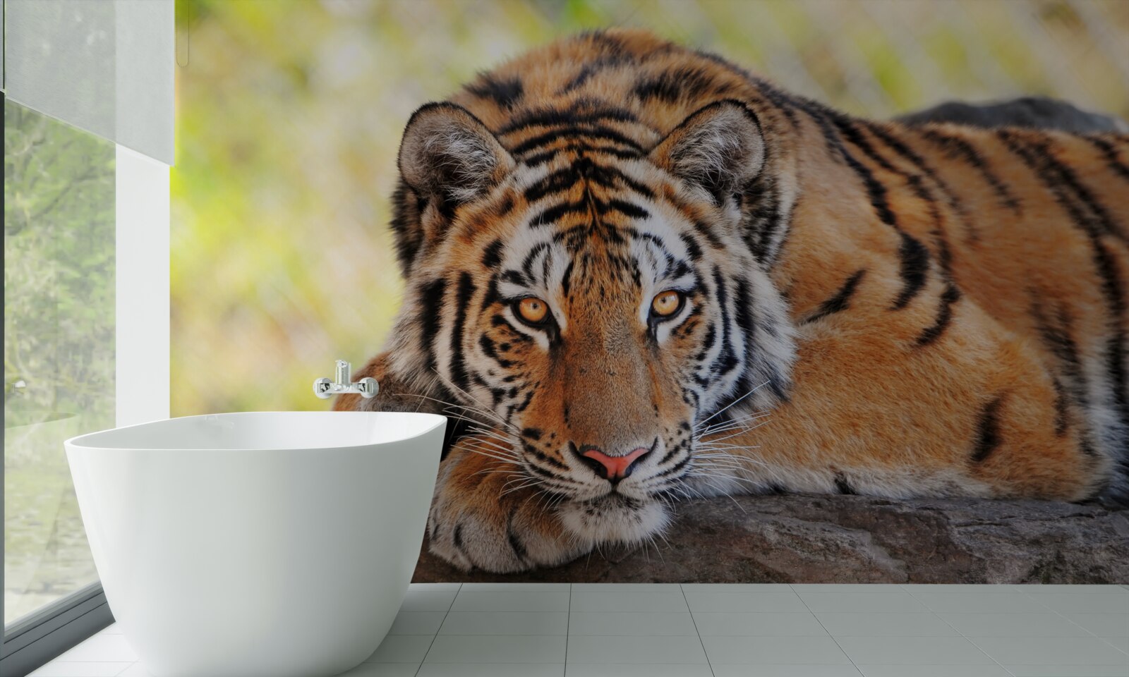 Fototapeta dravý tiger bol prepadnutý