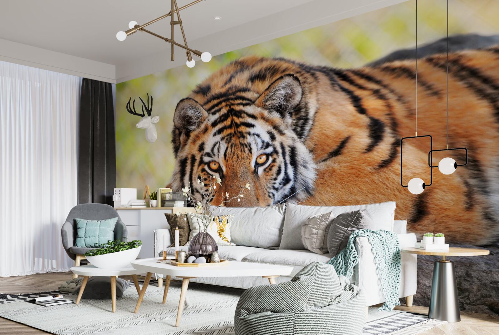 Fototapeta dravý tiger bol prepadnutý