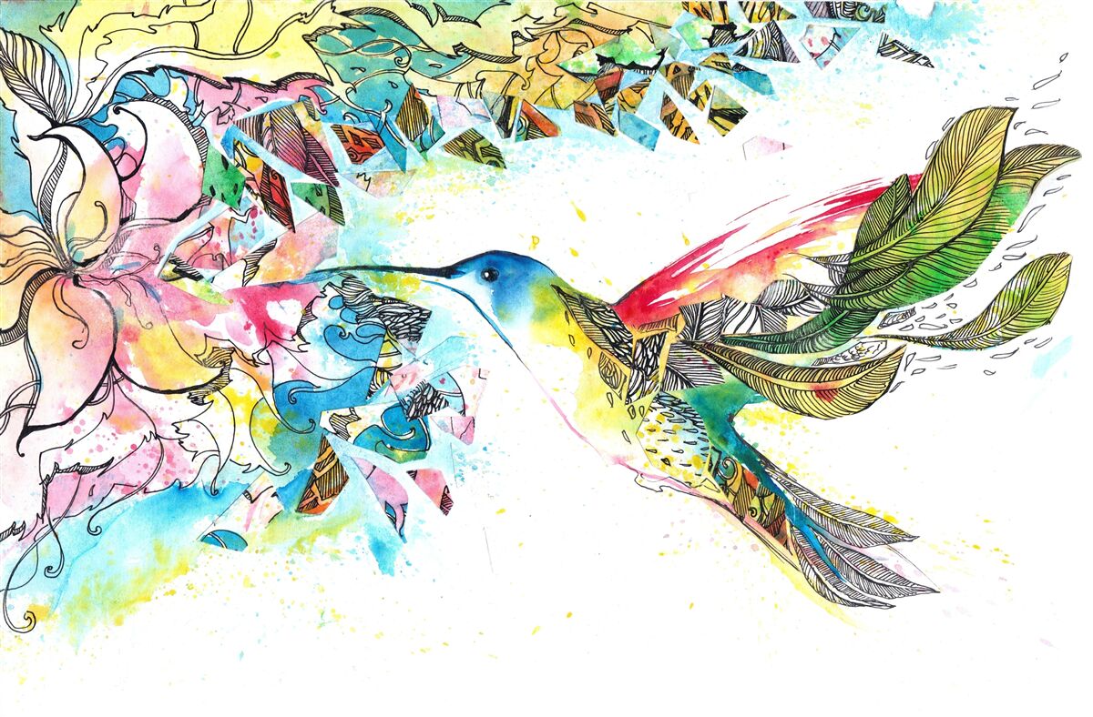 Fototapeta kolibríky sa živia nektárom z kvetov