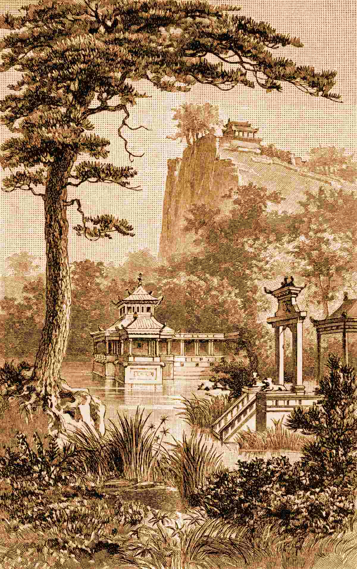 Fototapeta svieža čínska záhrada