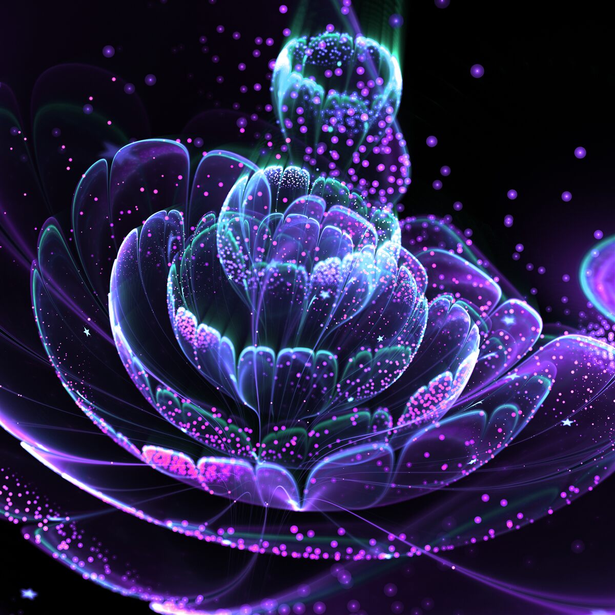 Fototapeta abstraktný modrý kvet na čiernom pozadí