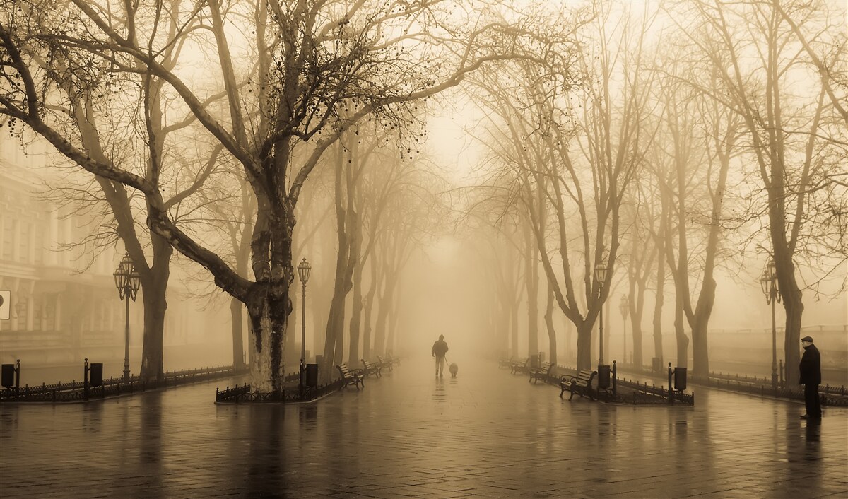 Fototapeta ulička je plná dažďa a hmly