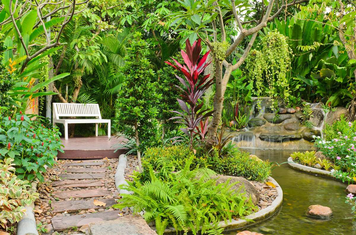 Fototapeta tropický raj v lesnej oblasti pri rybníku