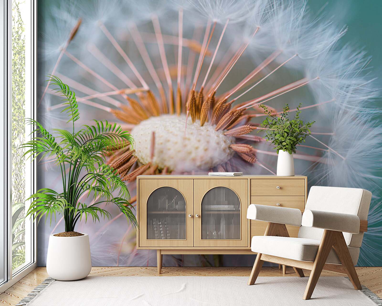 Fototapeta cesta okvetného lístka púpavy