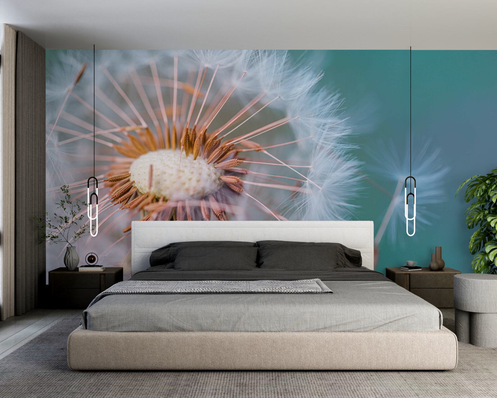 Fototapeta cesta okvetného lístka púpavy