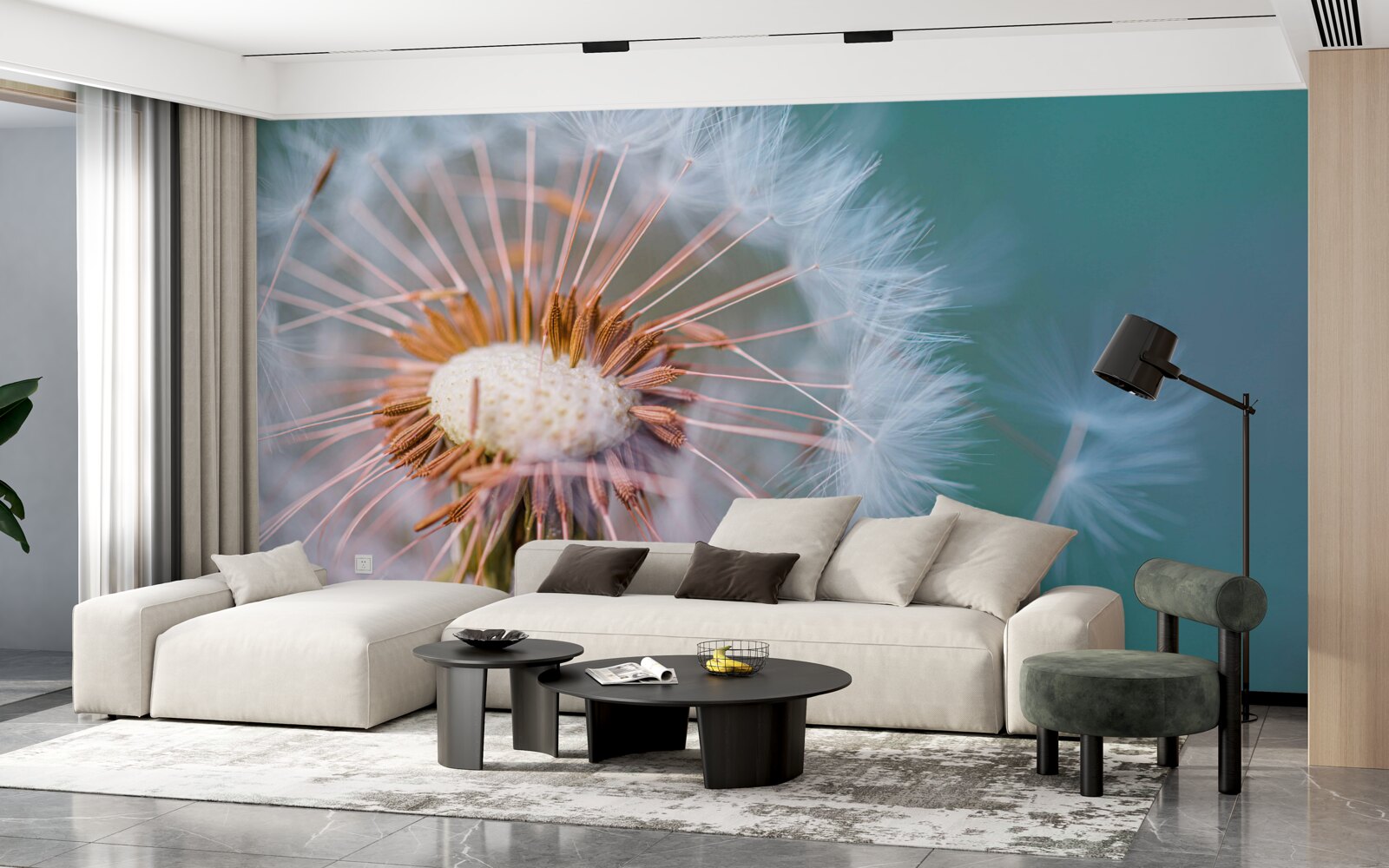 Fototapeta cesta okvetného lístka púpavy